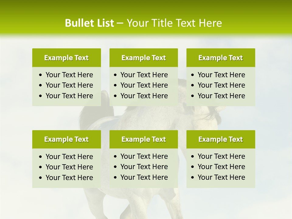 Beautiful Horses PowerPoint Template