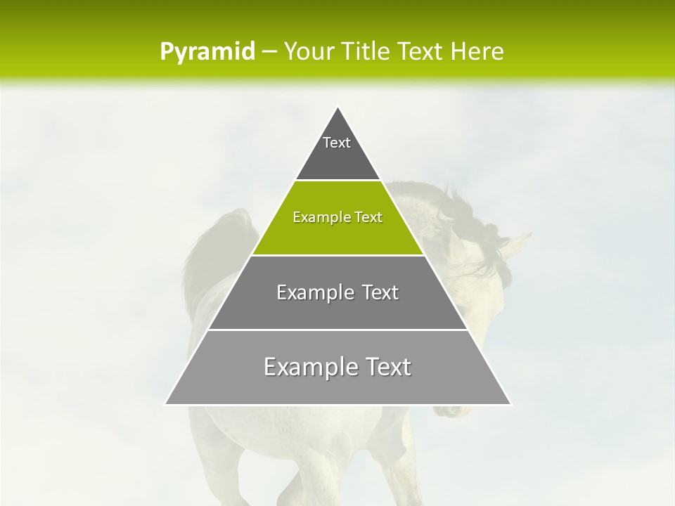 Beautiful Horses PowerPoint Template