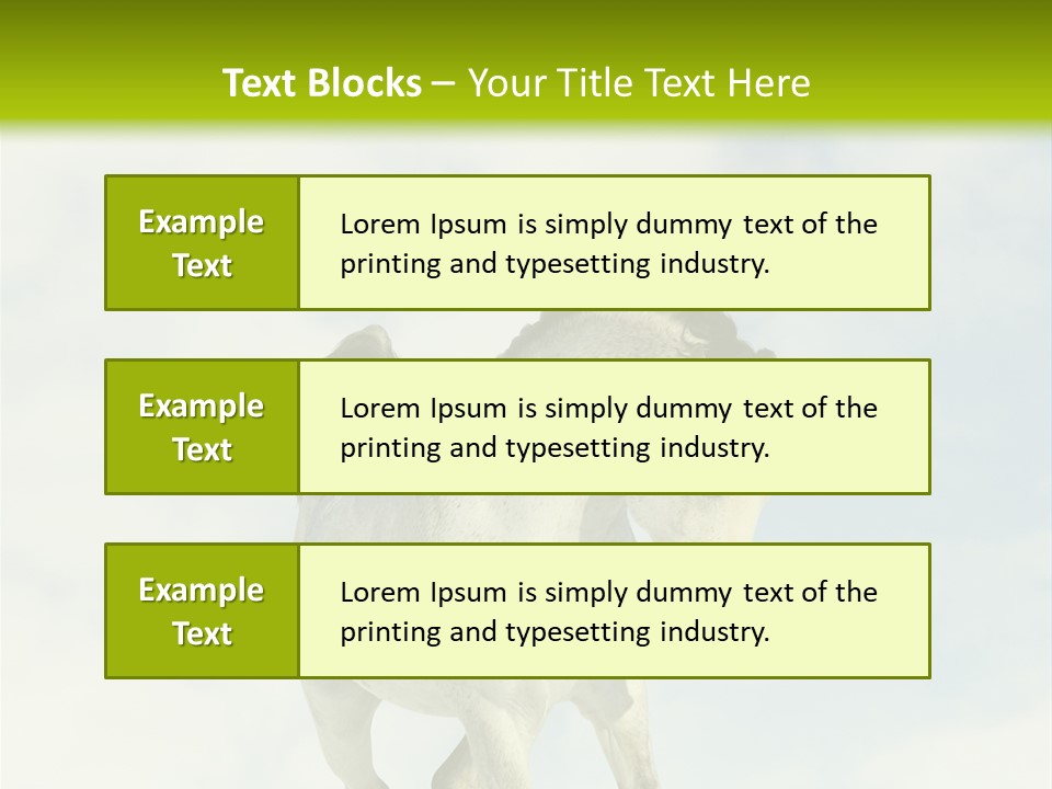 Beautiful Horses PowerPoint Template