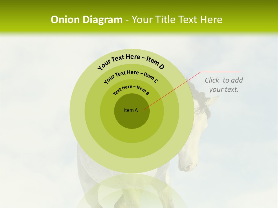 Beautiful Horses PowerPoint Template