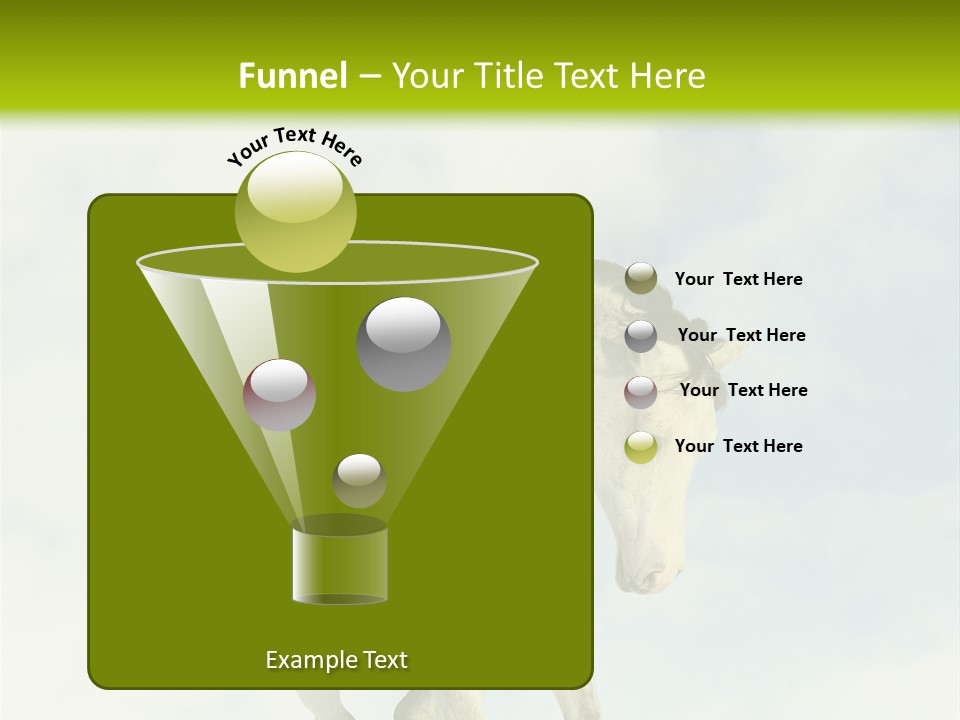 Beautiful Horses PowerPoint Template