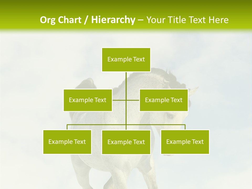 Beautiful Horses PowerPoint Template