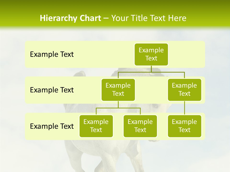 Beautiful Horses PowerPoint Template