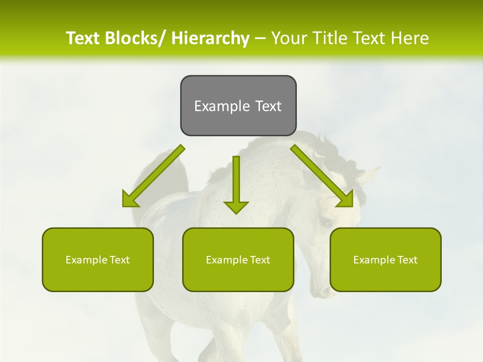 Beautiful Horses PowerPoint Template