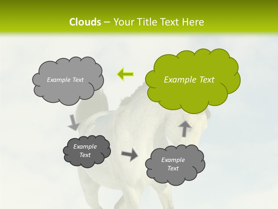 Beautiful Horses PowerPoint Template