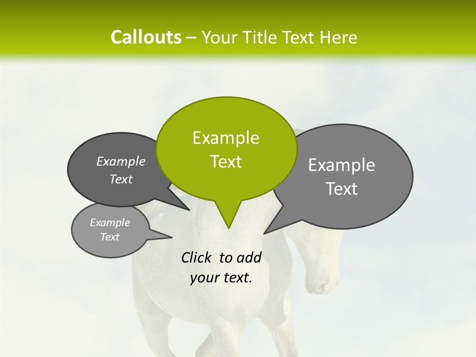 Beautiful Horses PowerPoint Template