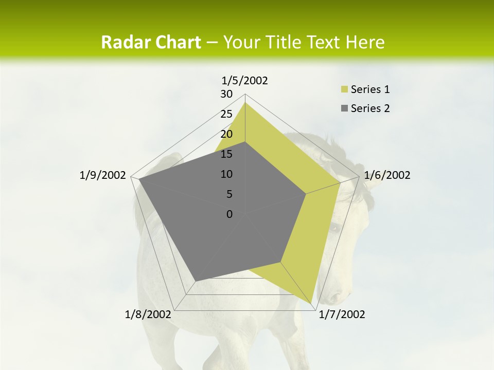 Beautiful Horses PowerPoint Template