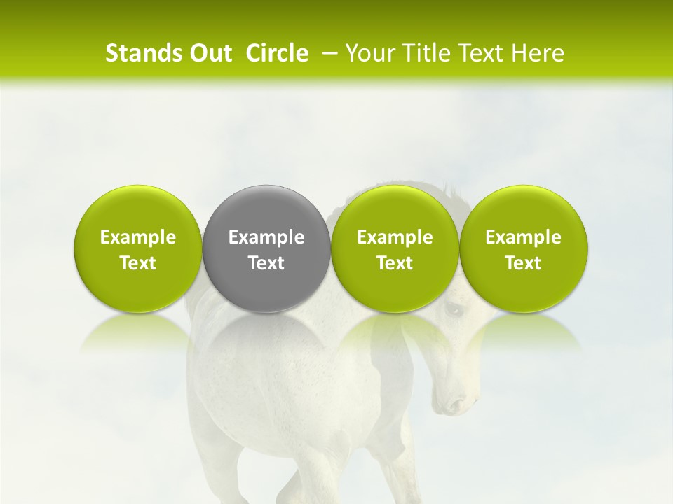 Beautiful Horses PowerPoint Template