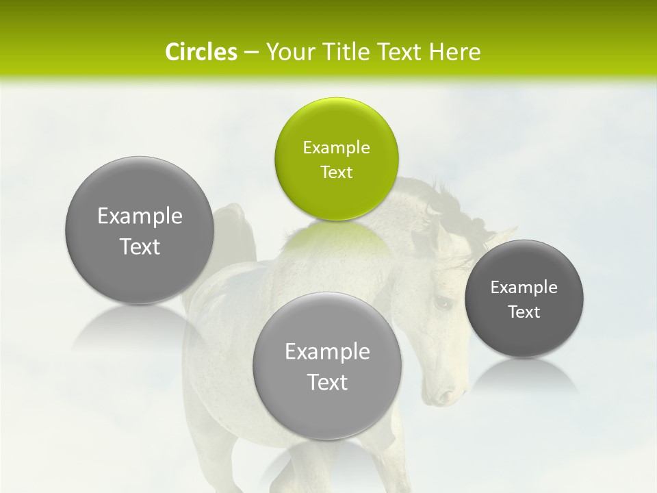 Beautiful Horses PowerPoint Template