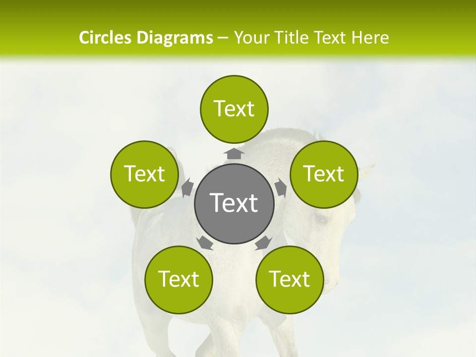 Beautiful Horses PowerPoint Template