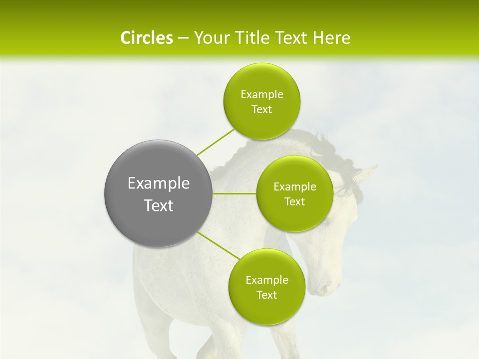 Beautiful Horses PowerPoint Template