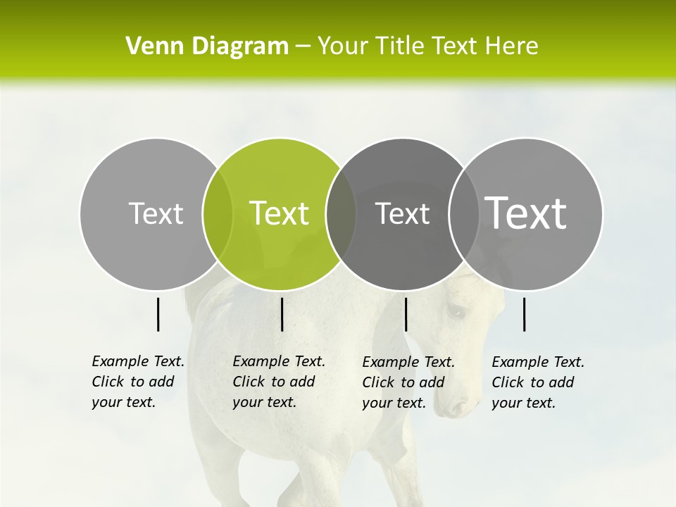 Beautiful Horses PowerPoint Template