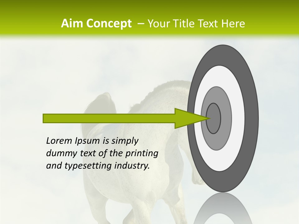 Beautiful Horses PowerPoint Template