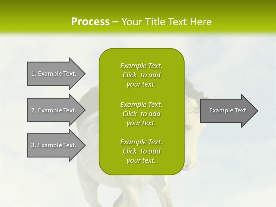 Beautiful Horses PowerPoint Template