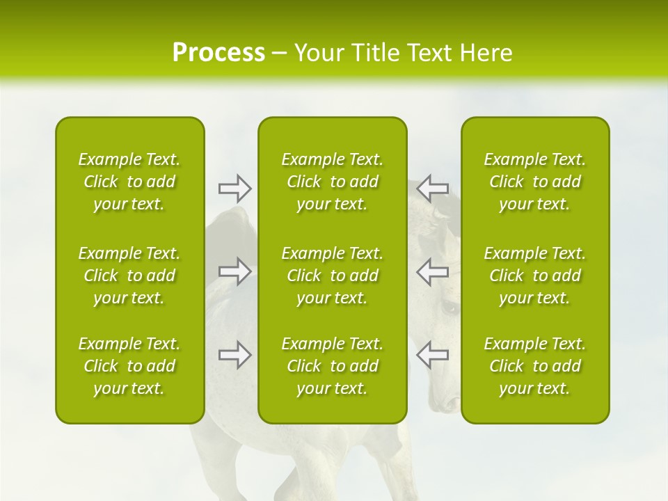 Beautiful Horses PowerPoint Template