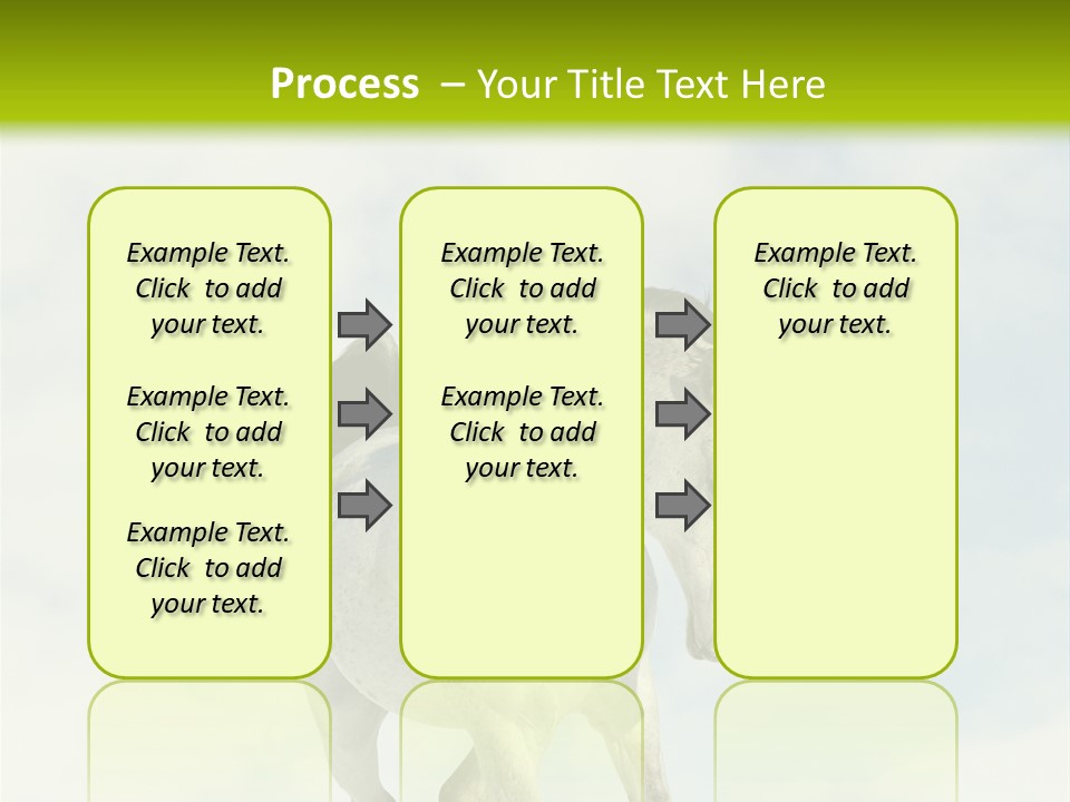 Beautiful Horses PowerPoint Template