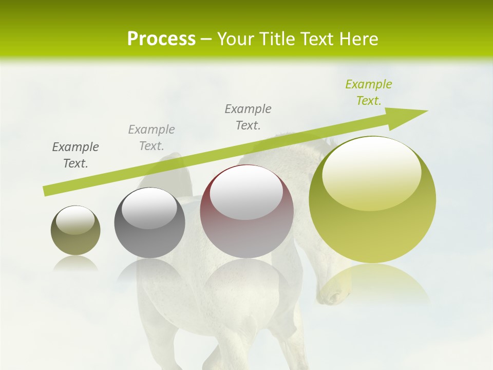 Beautiful Horses PowerPoint Template