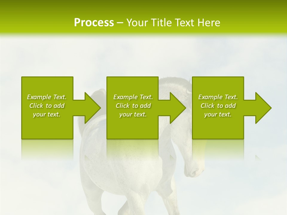 Beautiful Horses PowerPoint Template