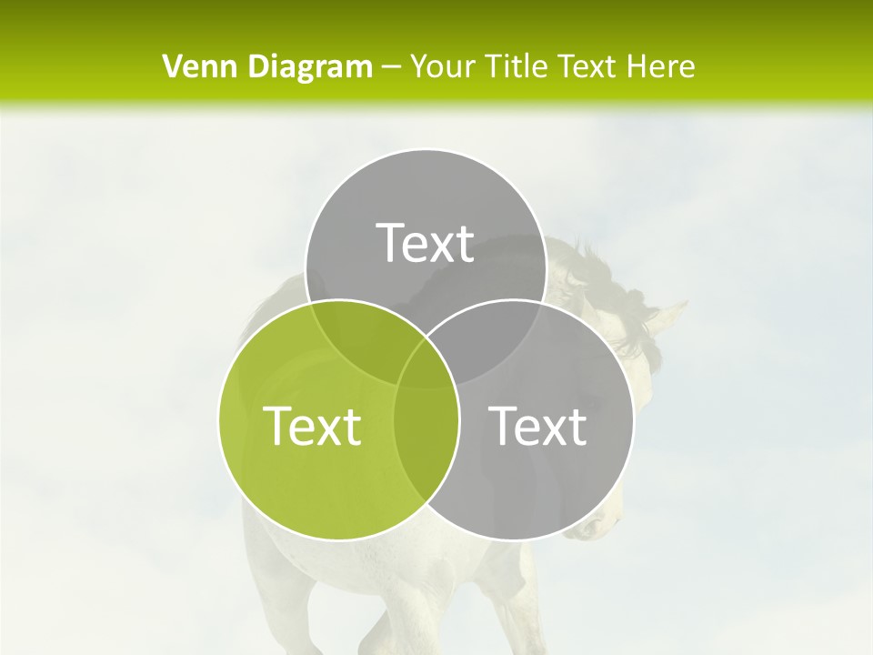 Beautiful Horses PowerPoint Template
