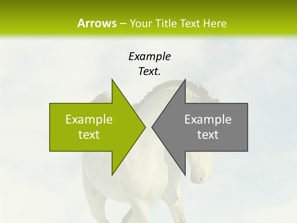 Beautiful Horses PowerPoint Template