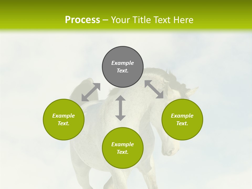Beautiful Horses PowerPoint Template