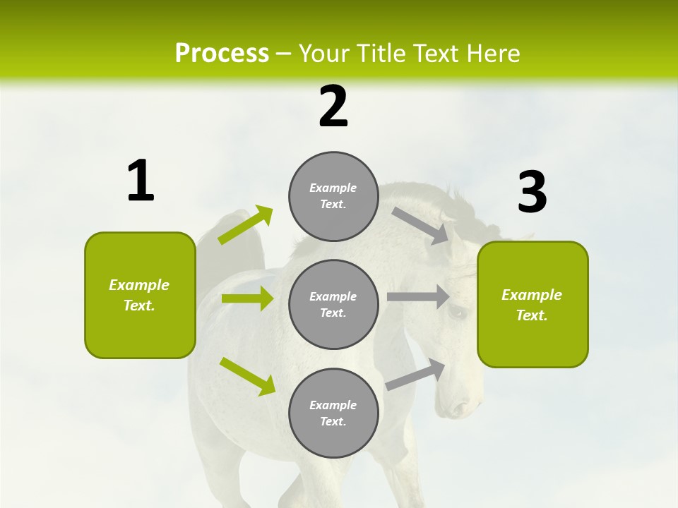 Beautiful Horses PowerPoint Template