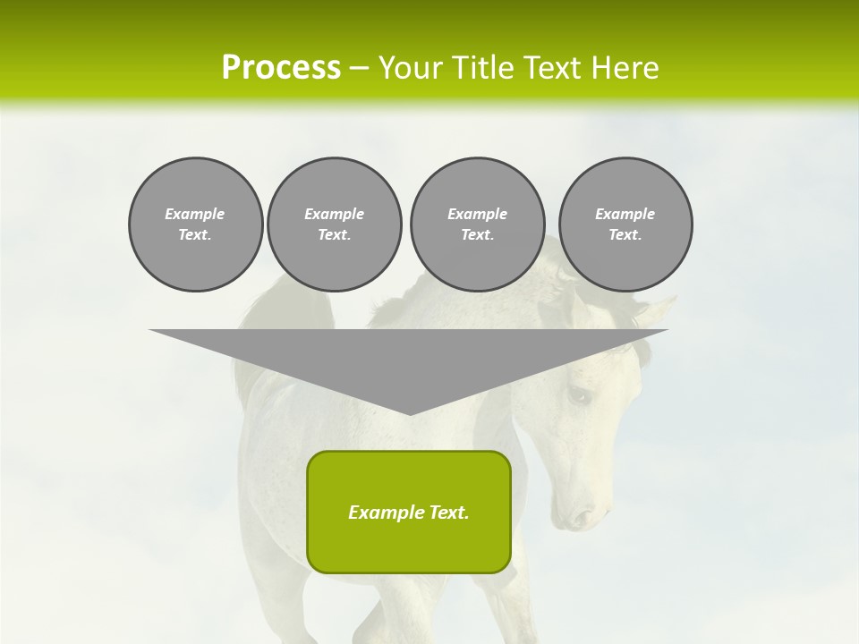 Beautiful Horses PowerPoint Template