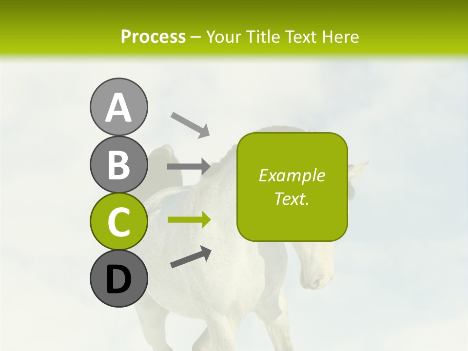 Beautiful Horses PowerPoint Template