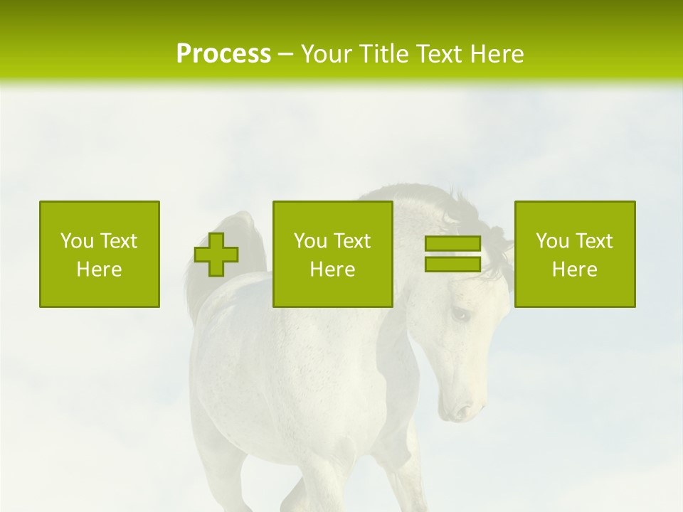 Beautiful Horses PowerPoint Template