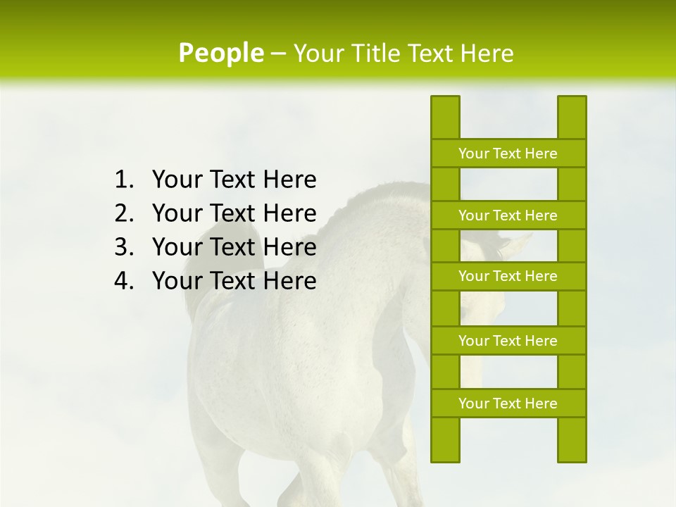 Beautiful Horses PowerPoint Template