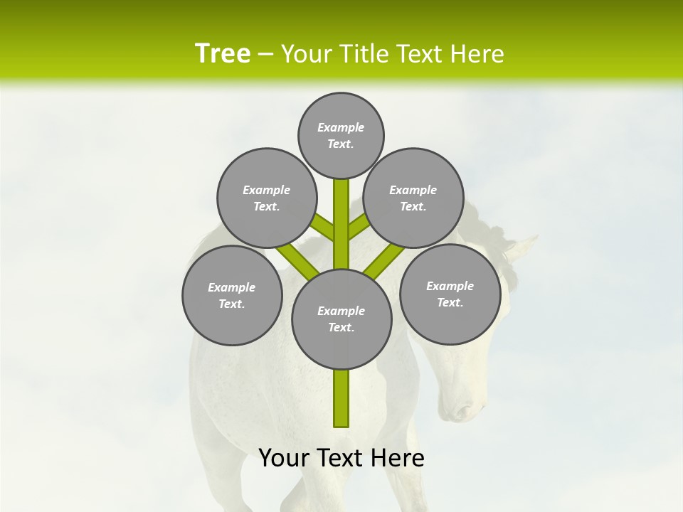Beautiful Horses PowerPoint Template