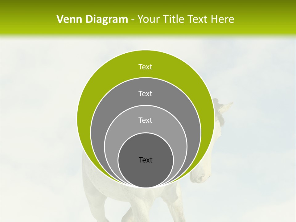 Beautiful Horses PowerPoint Template