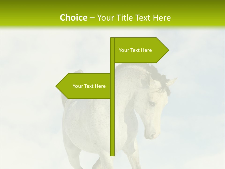 Beautiful Horses PowerPoint Template