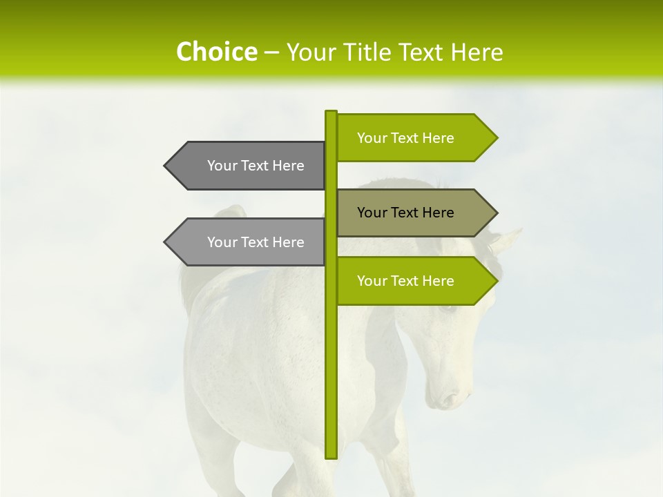 Beautiful Horses PowerPoint Template