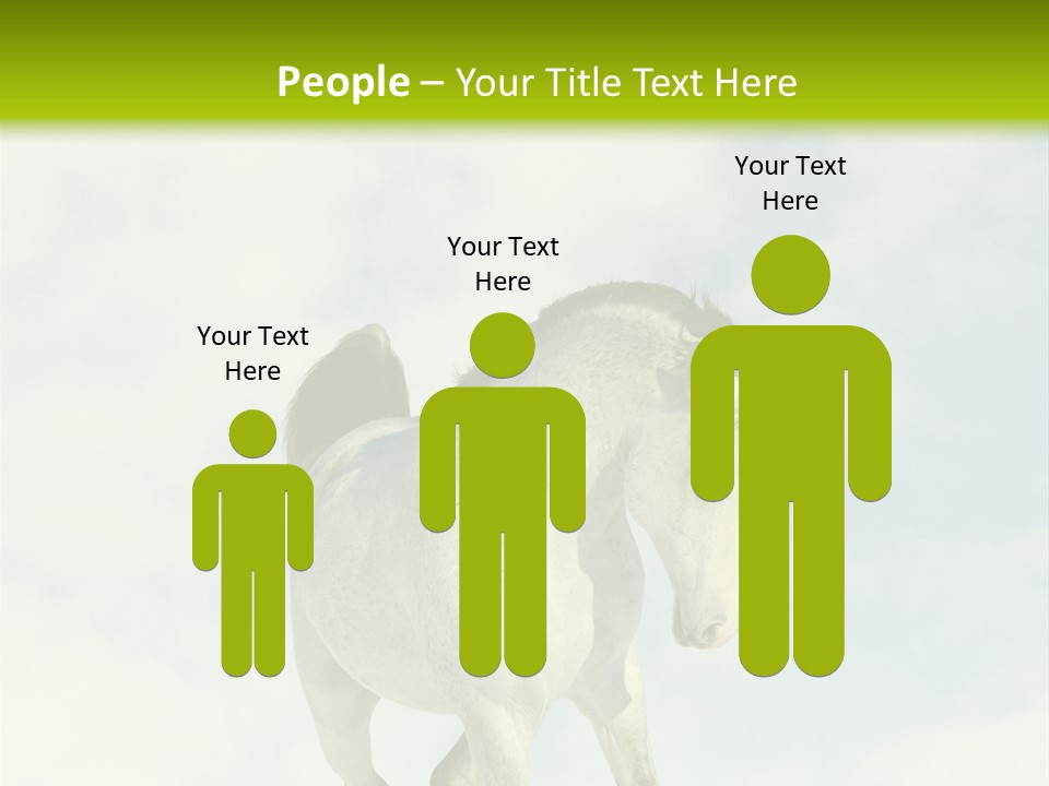 Beautiful Horses PowerPoint Template