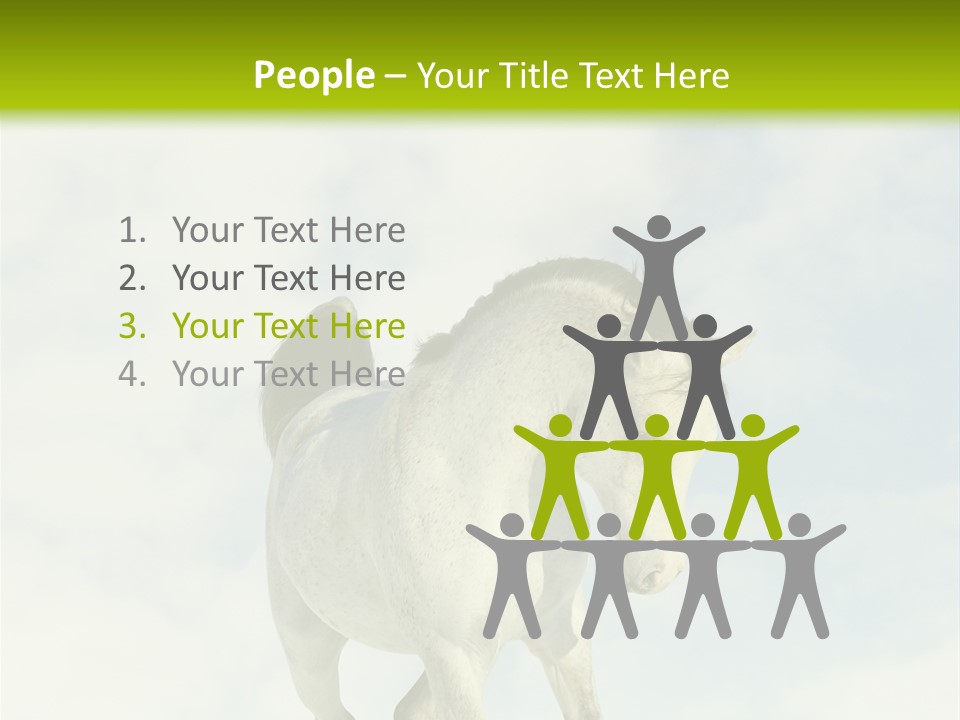 Beautiful Horses PowerPoint Template