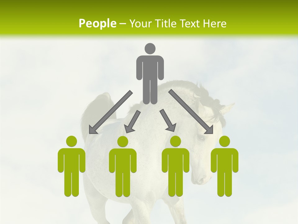 Beautiful Horses PowerPoint Template