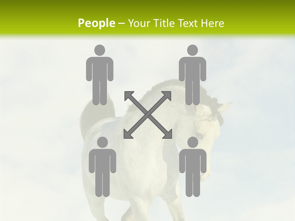 Beautiful Horses PowerPoint Template