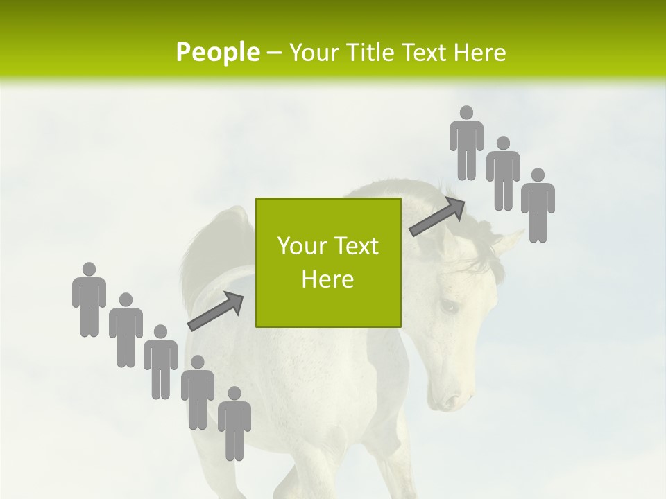 Beautiful Horses PowerPoint Template