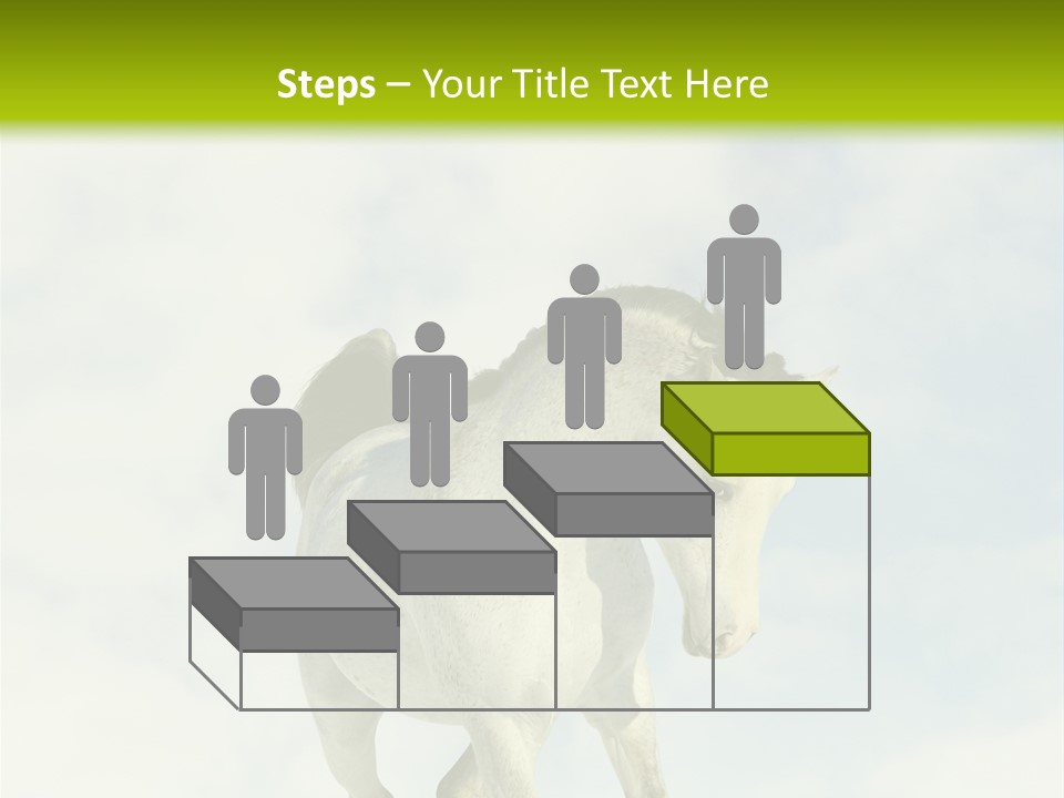 Beautiful Horses PowerPoint Template