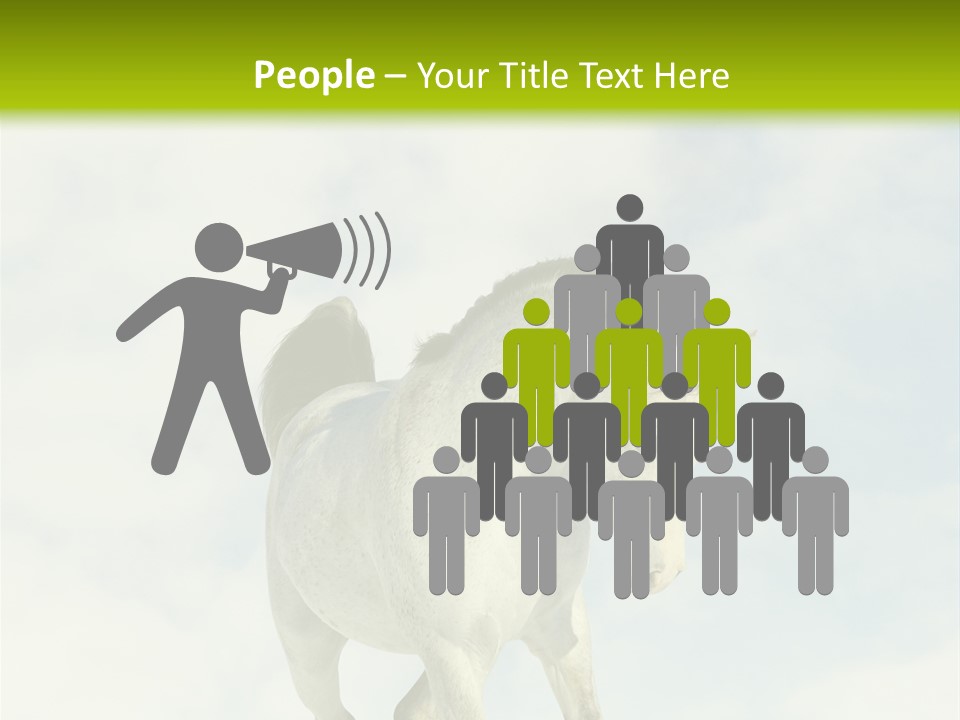 Beautiful Horses PowerPoint Template