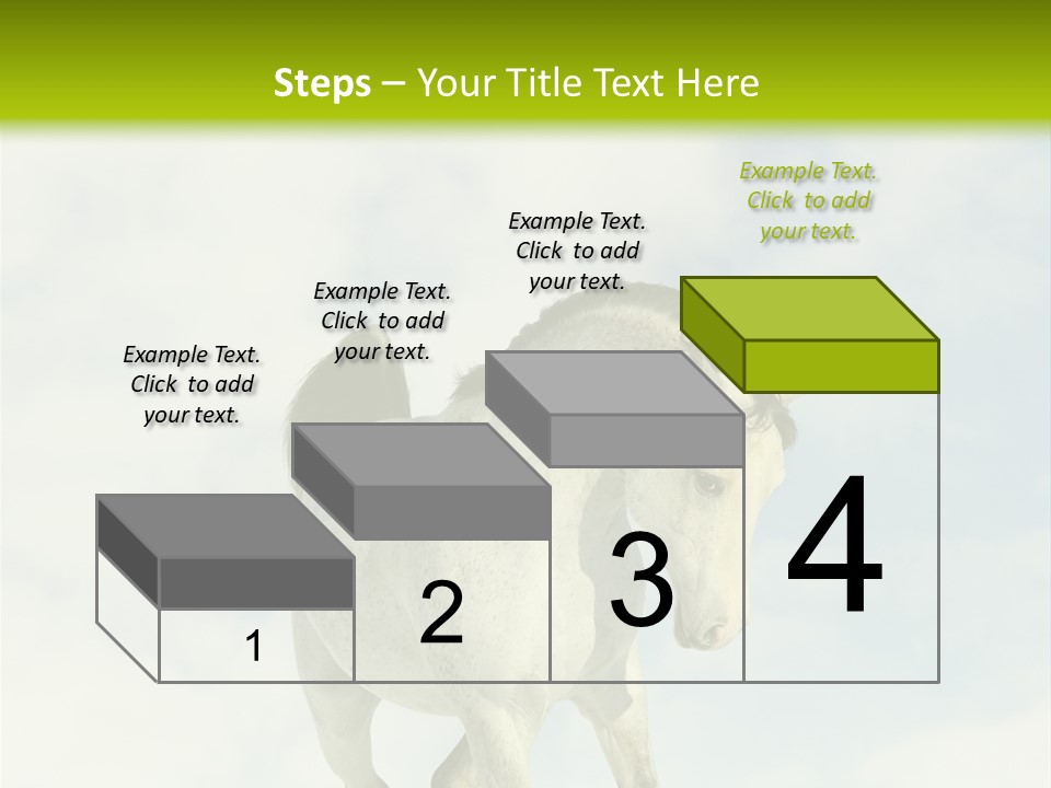 Beautiful Horses PowerPoint Template