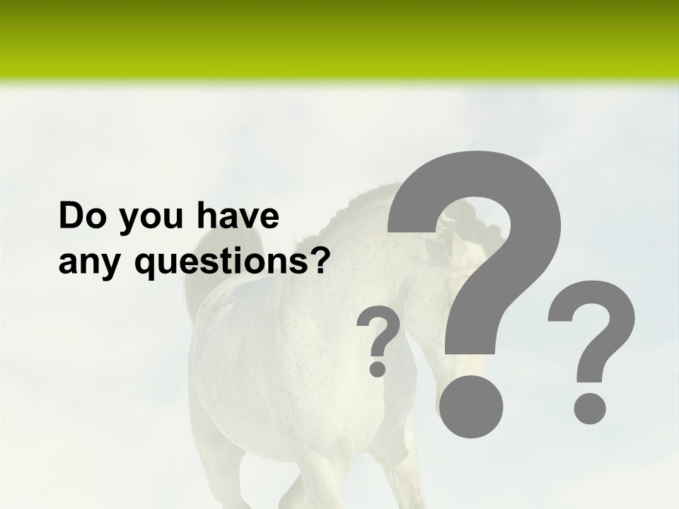 Beautiful Horses PowerPoint Template