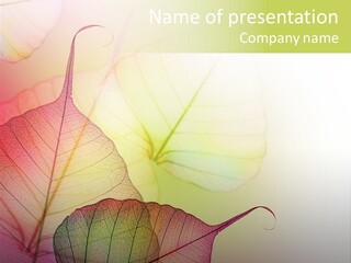 Transparent PowerPoint Template