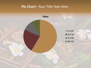 Spa Flowers PowerPoint Template