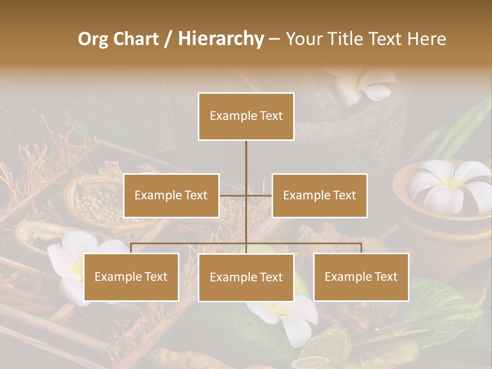 Spa Flowers PowerPoint Template
