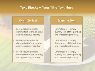 Breakfast Brown Yummy PowerPoint Template