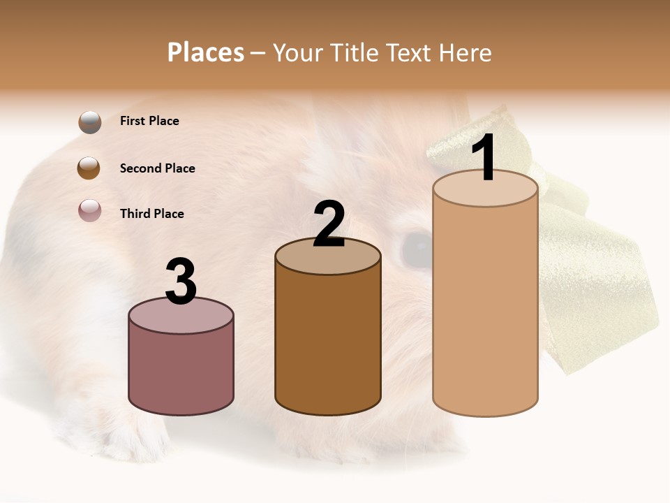 Hear Stylish Pet PowerPoint Template