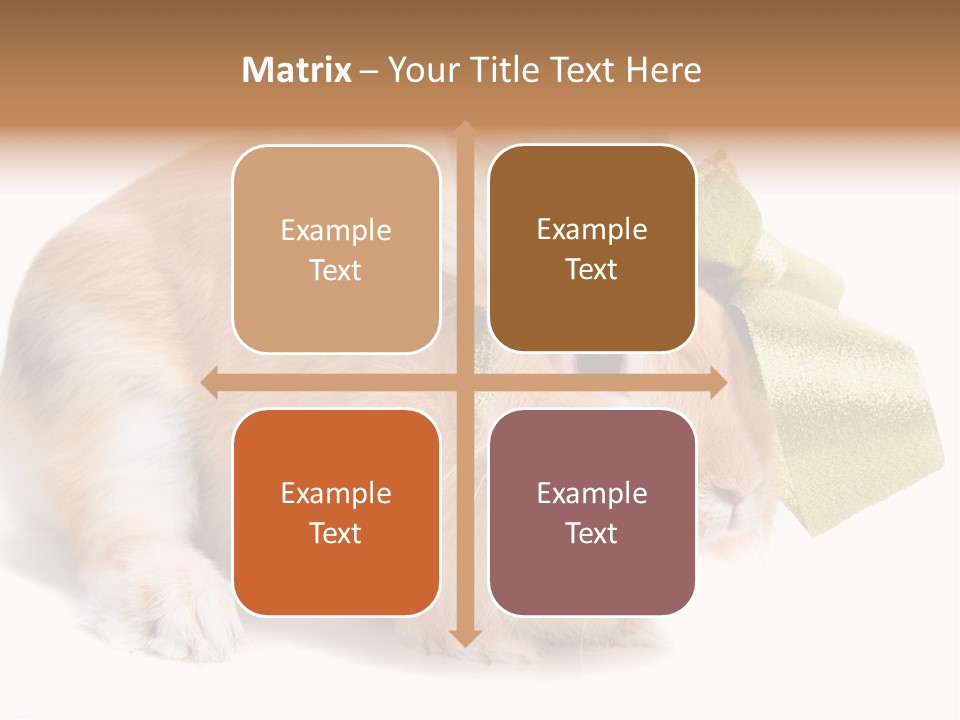 Hear Stylish Pet PowerPoint Template