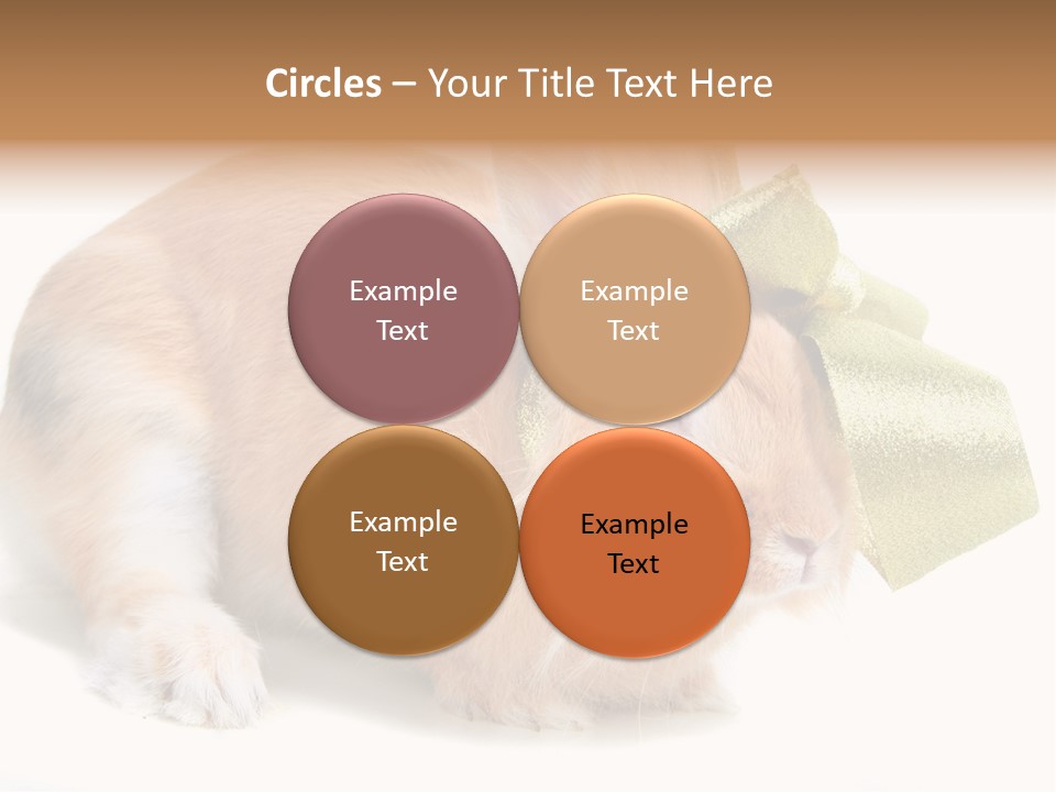 Hear Stylish Pet PowerPoint Template